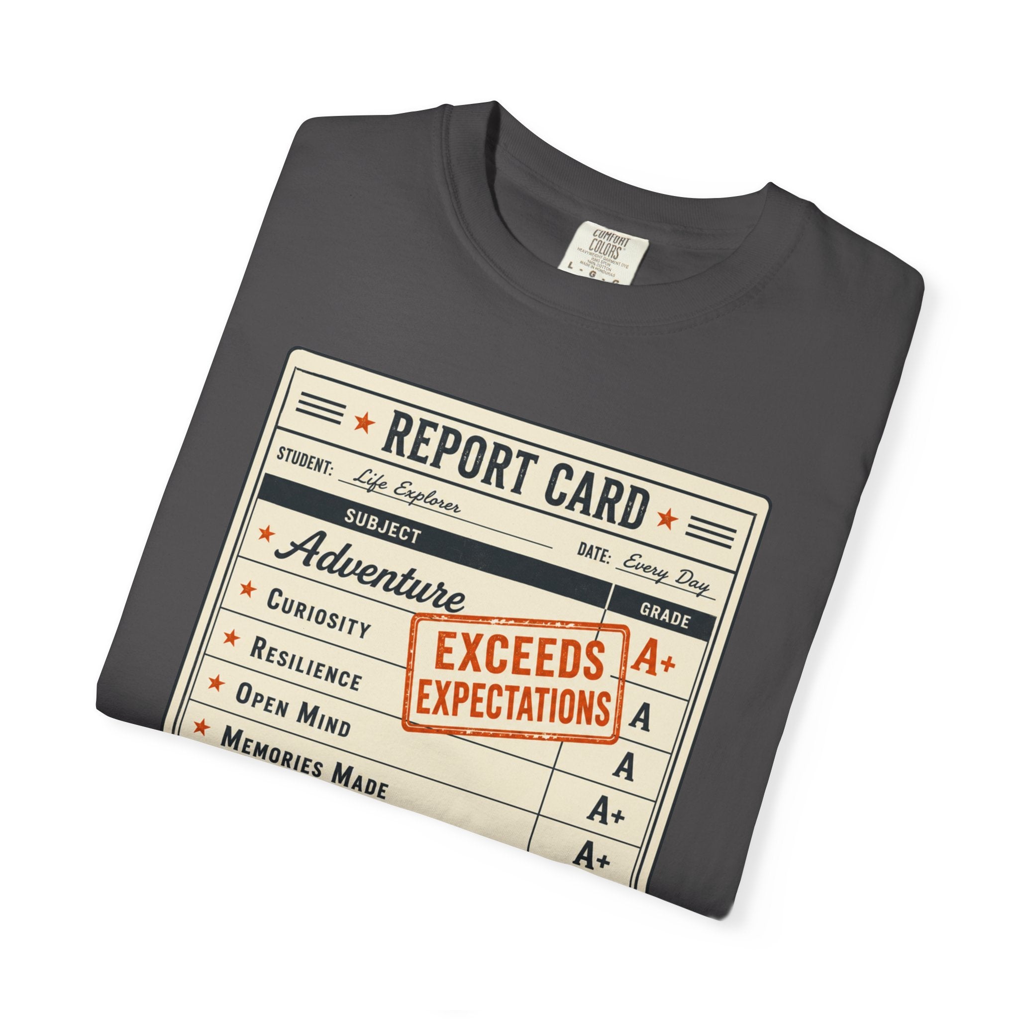 Annual Performance Review - T-Shirt