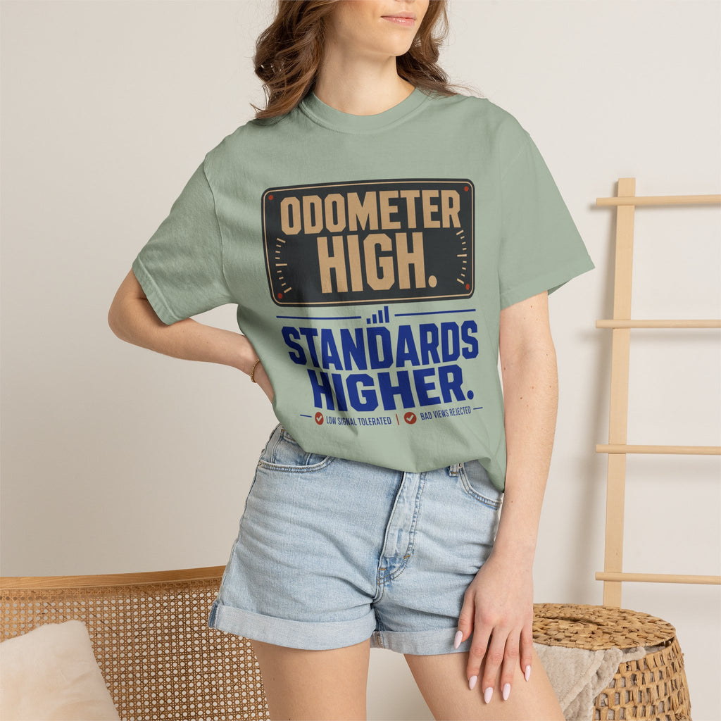 Odometer High Standards Higher - T-Shirt