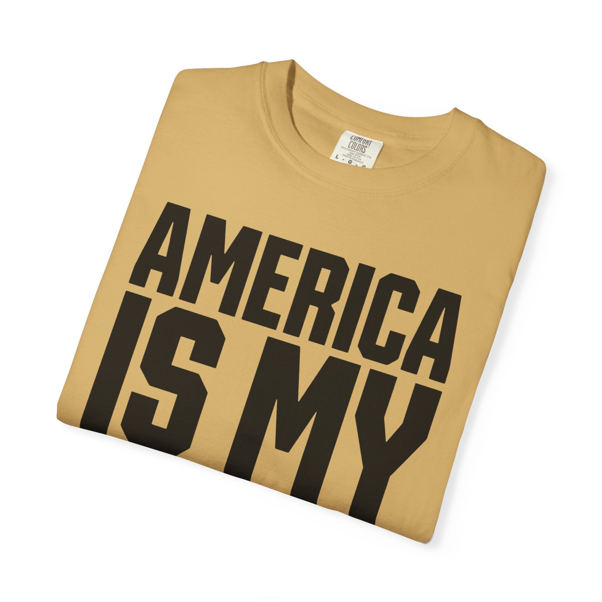 America Is My Campsite - T-Shirt