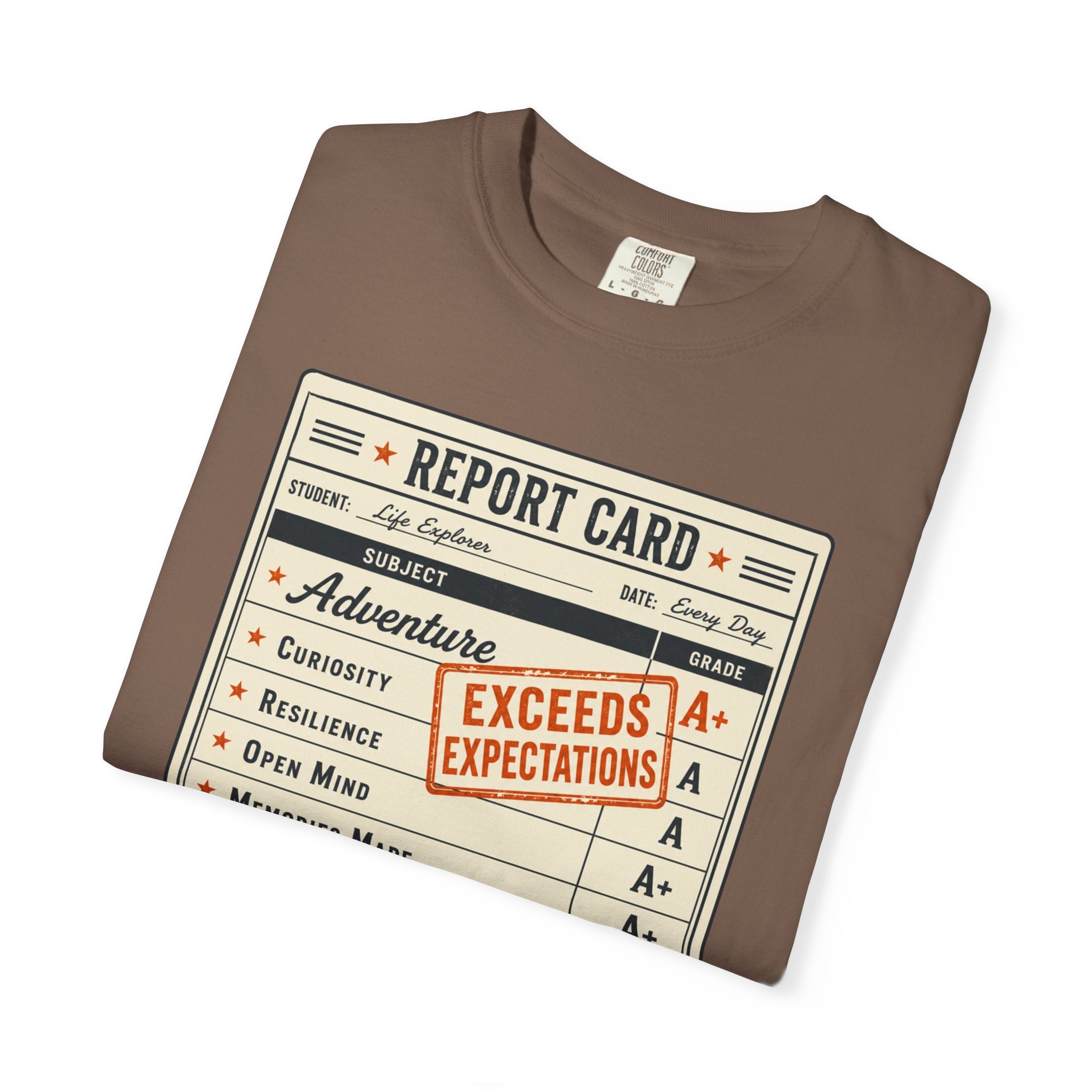 Annual Performance Review - T-Shirt