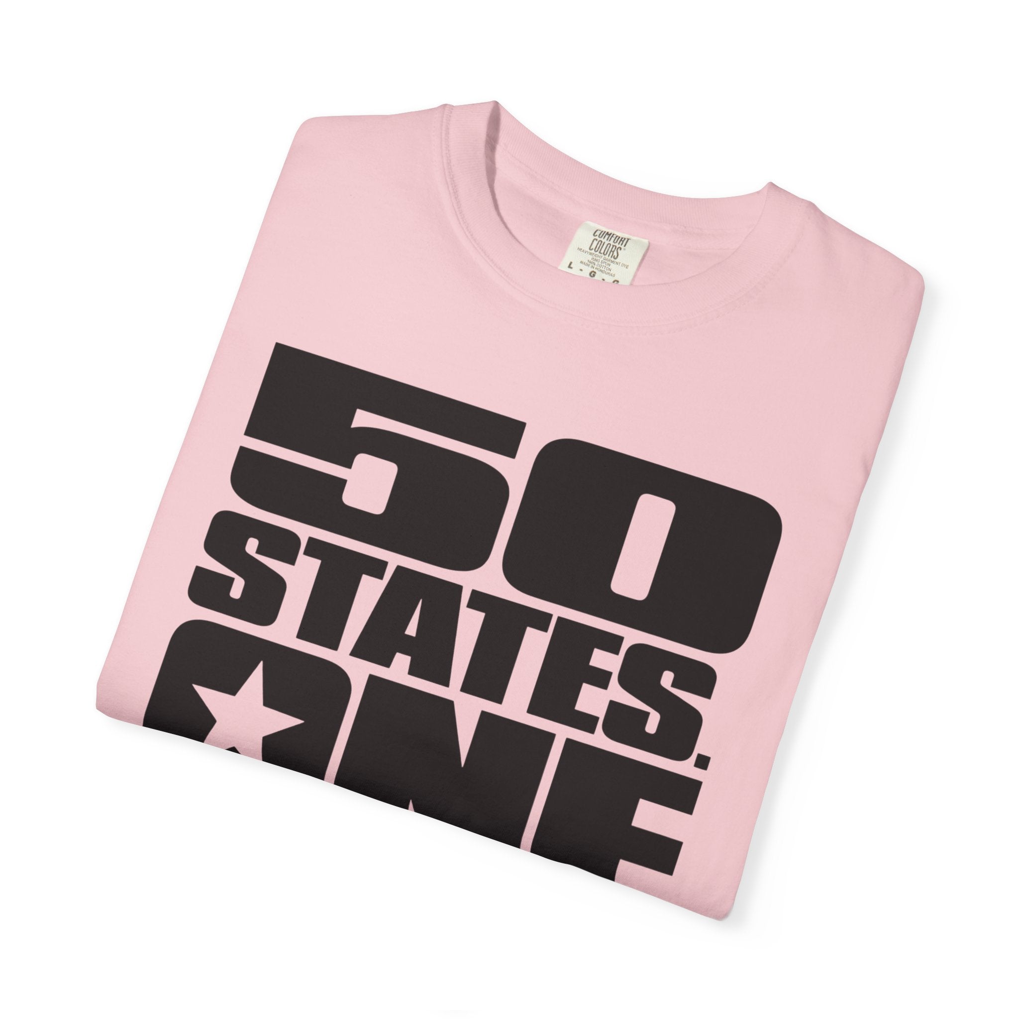 50 States One Backyard - T-Shirt