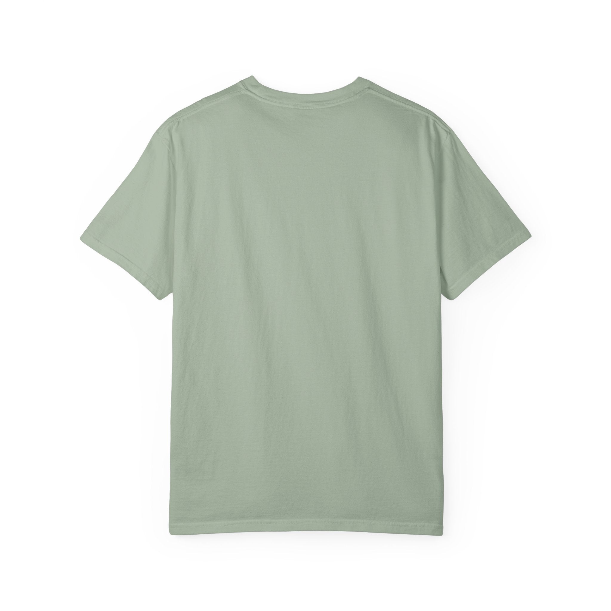 The View Is The Upgrade - T-Shirt