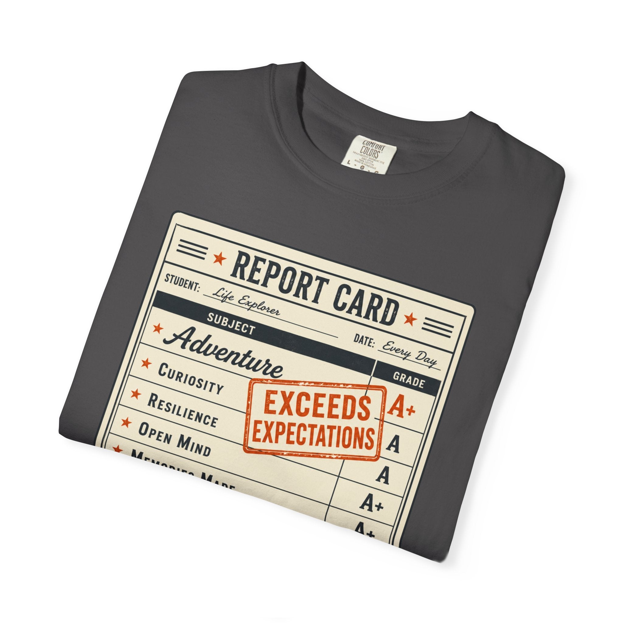 Annual Performance Review - T-Shirt