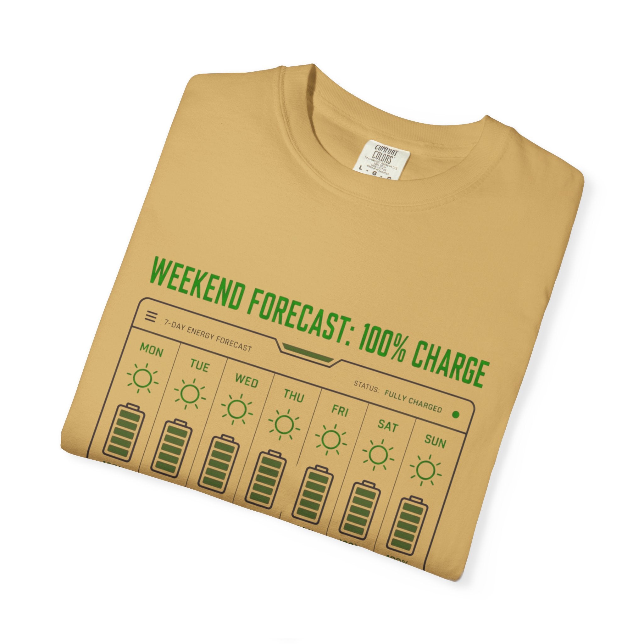 Weekend Forecast 100 Percent Charge - T-Shirt