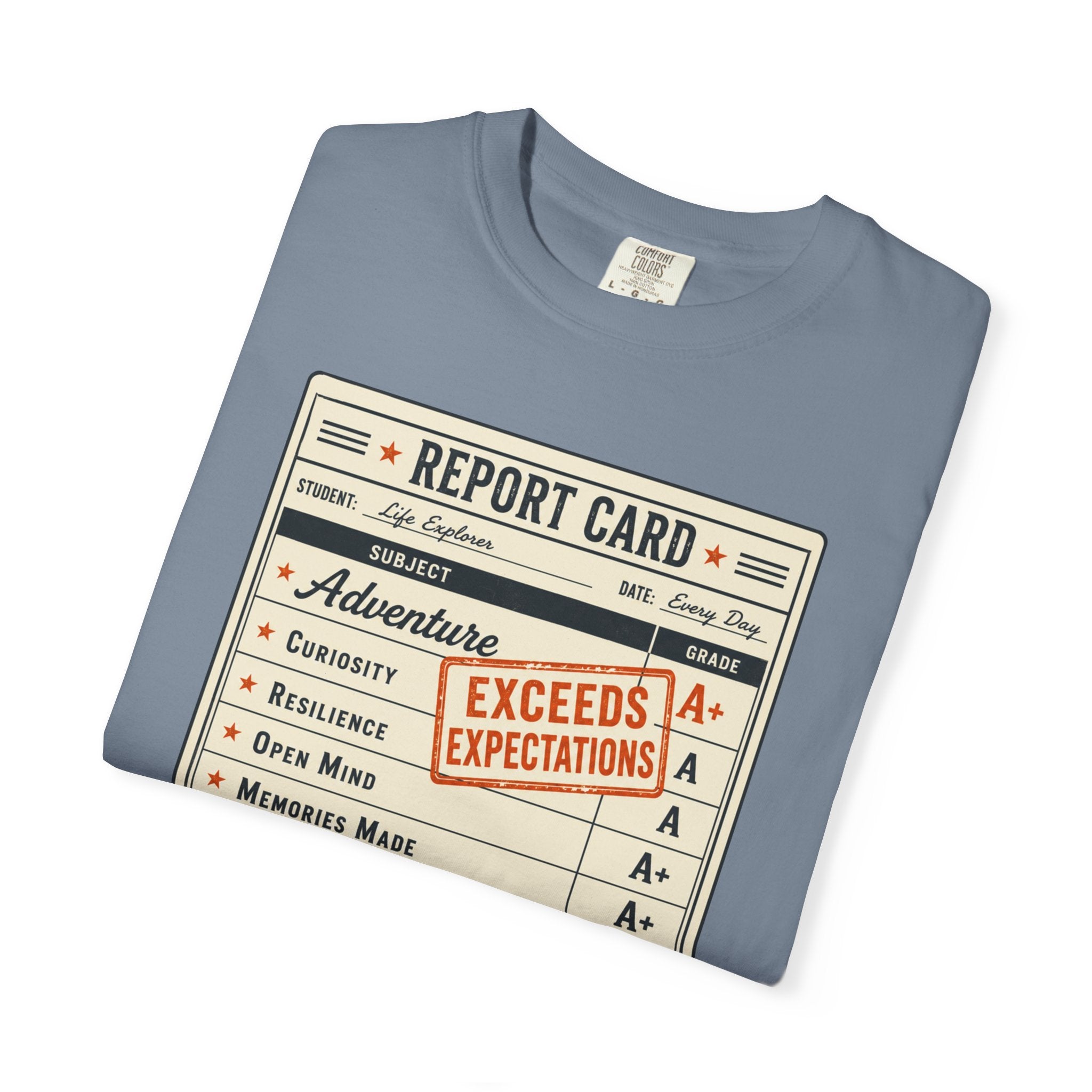 Annual Performance Review - T-Shirt