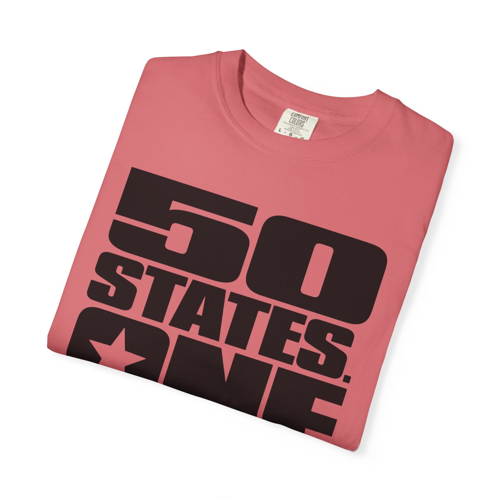 50 States One Backyard - T-Shirt